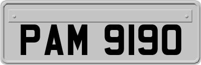 PAM9190