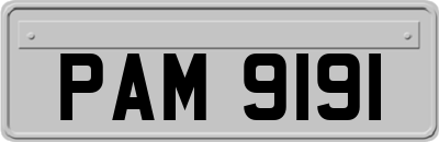 PAM9191