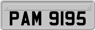PAM9195