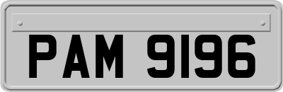 PAM9196