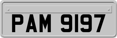 PAM9197