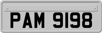 PAM9198