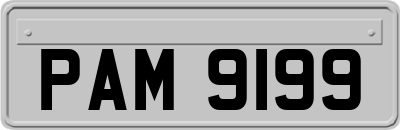 PAM9199