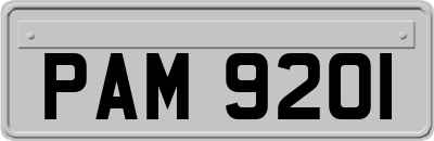 PAM9201