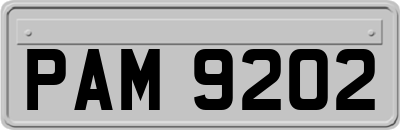 PAM9202