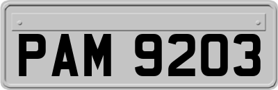 PAM9203