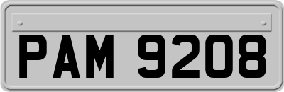 PAM9208