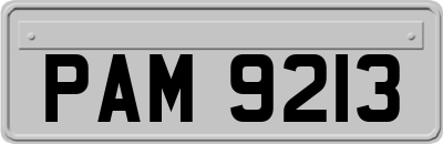 PAM9213