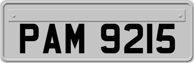PAM9215