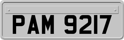PAM9217
