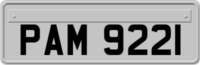 PAM9221
