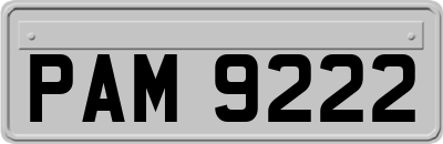 PAM9222