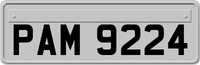 PAM9224