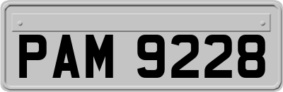 PAM9228