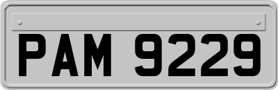 PAM9229