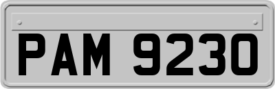 PAM9230