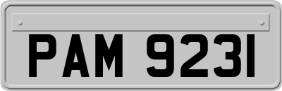 PAM9231