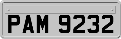 PAM9232