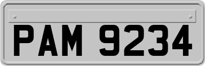 PAM9234