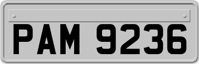PAM9236