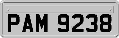 PAM9238
