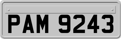 PAM9243