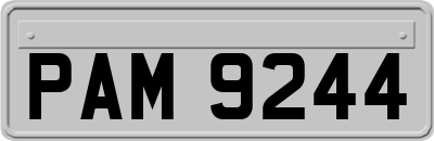 PAM9244