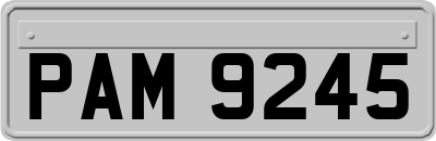 PAM9245
