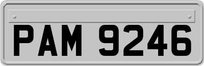 PAM9246
