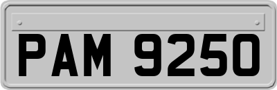 PAM9250