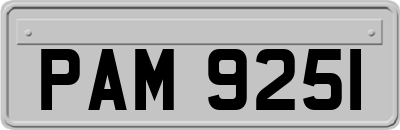 PAM9251