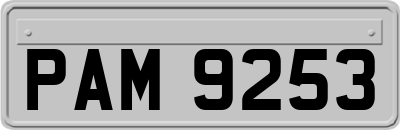 PAM9253