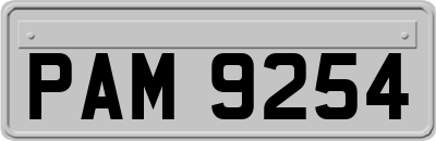 PAM9254