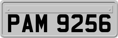 PAM9256