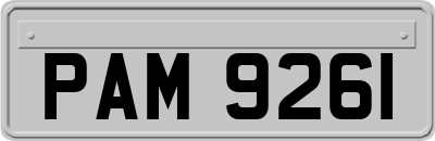 PAM9261