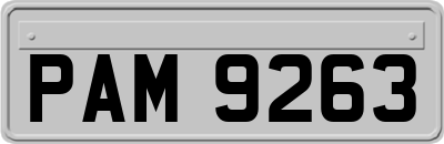 PAM9263