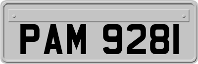 PAM9281