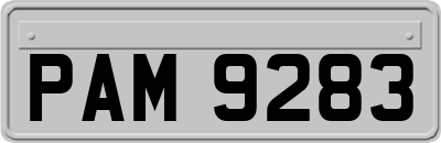 PAM9283