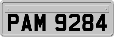 PAM9284