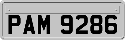 PAM9286