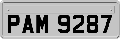 PAM9287