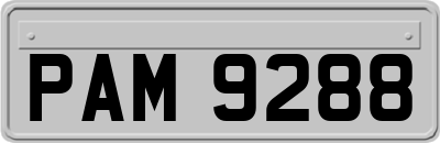 PAM9288