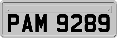 PAM9289