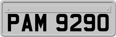 PAM9290