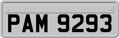 PAM9293