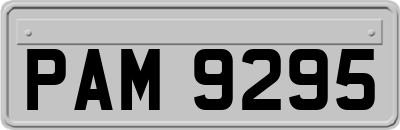 PAM9295