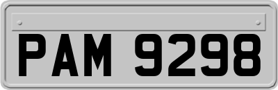 PAM9298