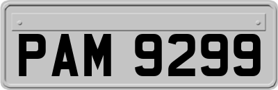 PAM9299