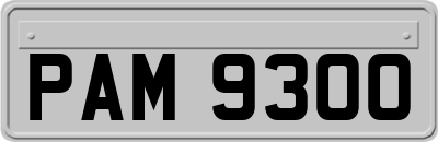 PAM9300