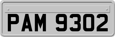 PAM9302